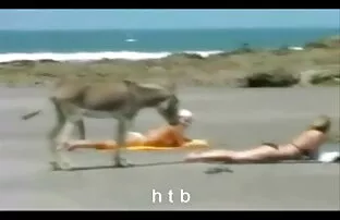 წლის bondage ვიდეოები 25. ნაწილი B პირში აღება